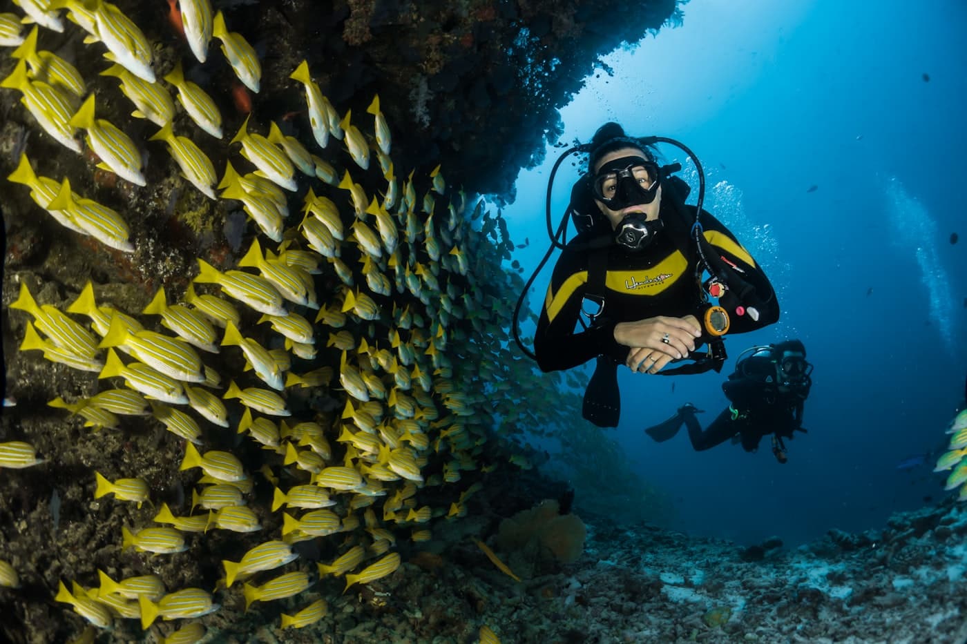 11 Excelentes Razones Para Visitar Sri Lanka Antes Que Todo el Mundo